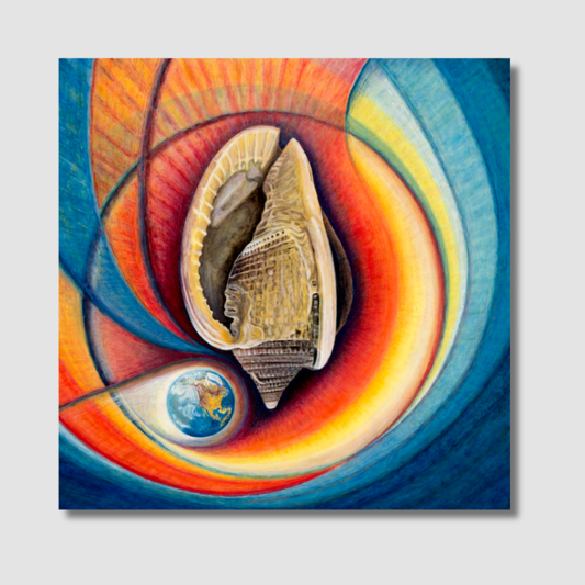 Universe in a Shell