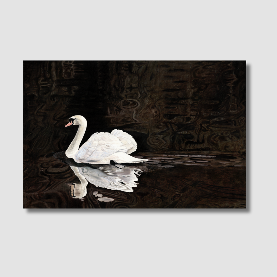 White Swan Is Not Black