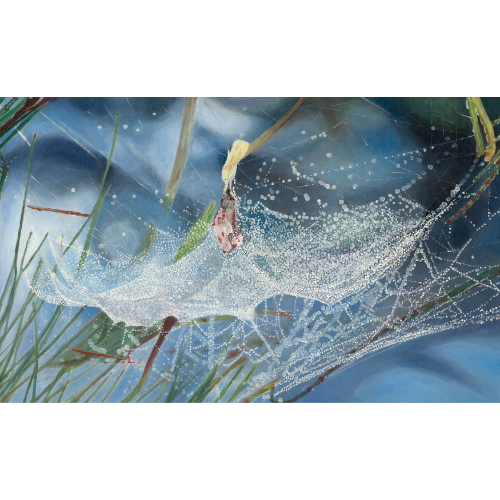 Web in the Sky 1