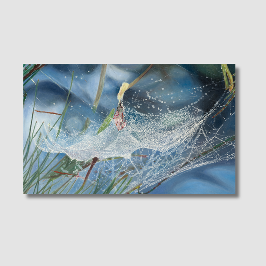 Web in the Sky 1