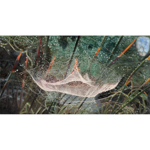 Web in a Web