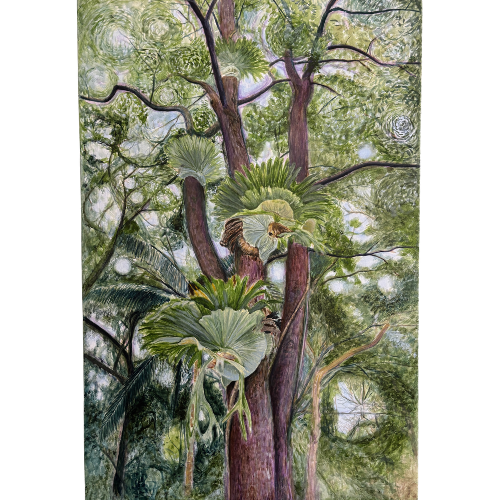 Tree Magic