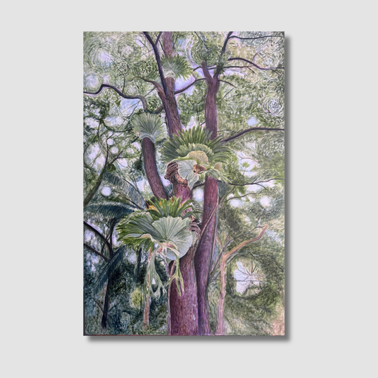 Tree Magic