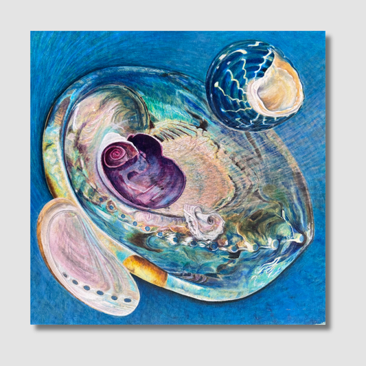 Shells in Blue