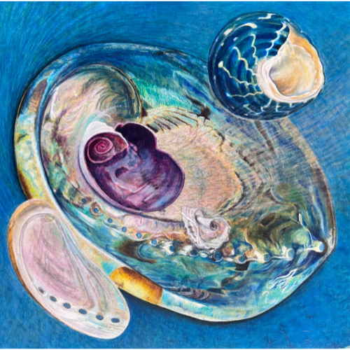 Shells in Blue