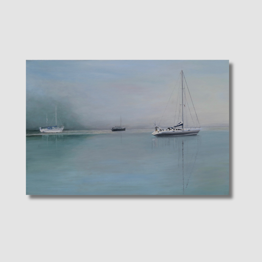 River Dart in the Mist