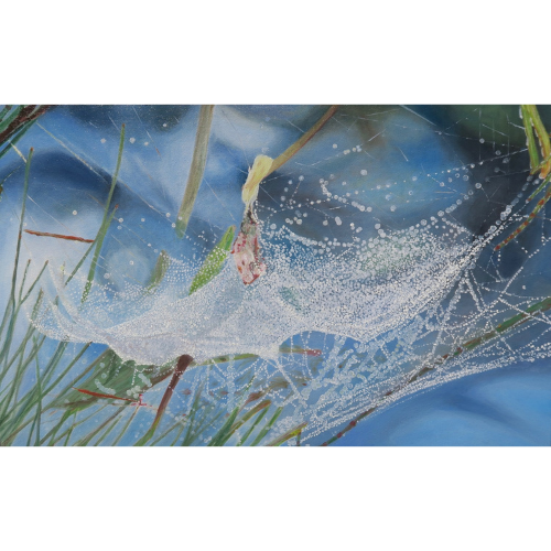 Web in the Sky 2