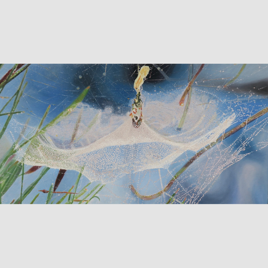 Web in the Sky 2