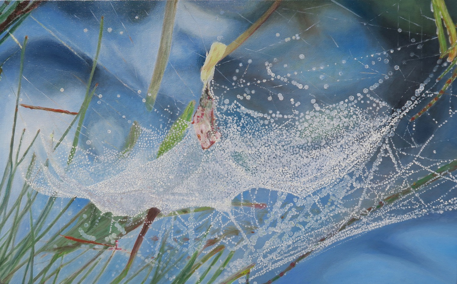 Painting of Spiderweb 3 by Niko Dujmovic