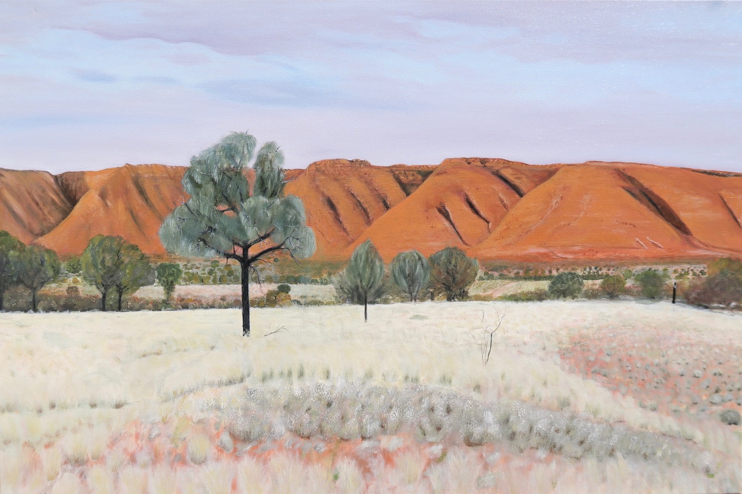 Landscape of On the way to Uluru by Niko Dujmovic
