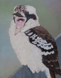 Angry Kookaburra