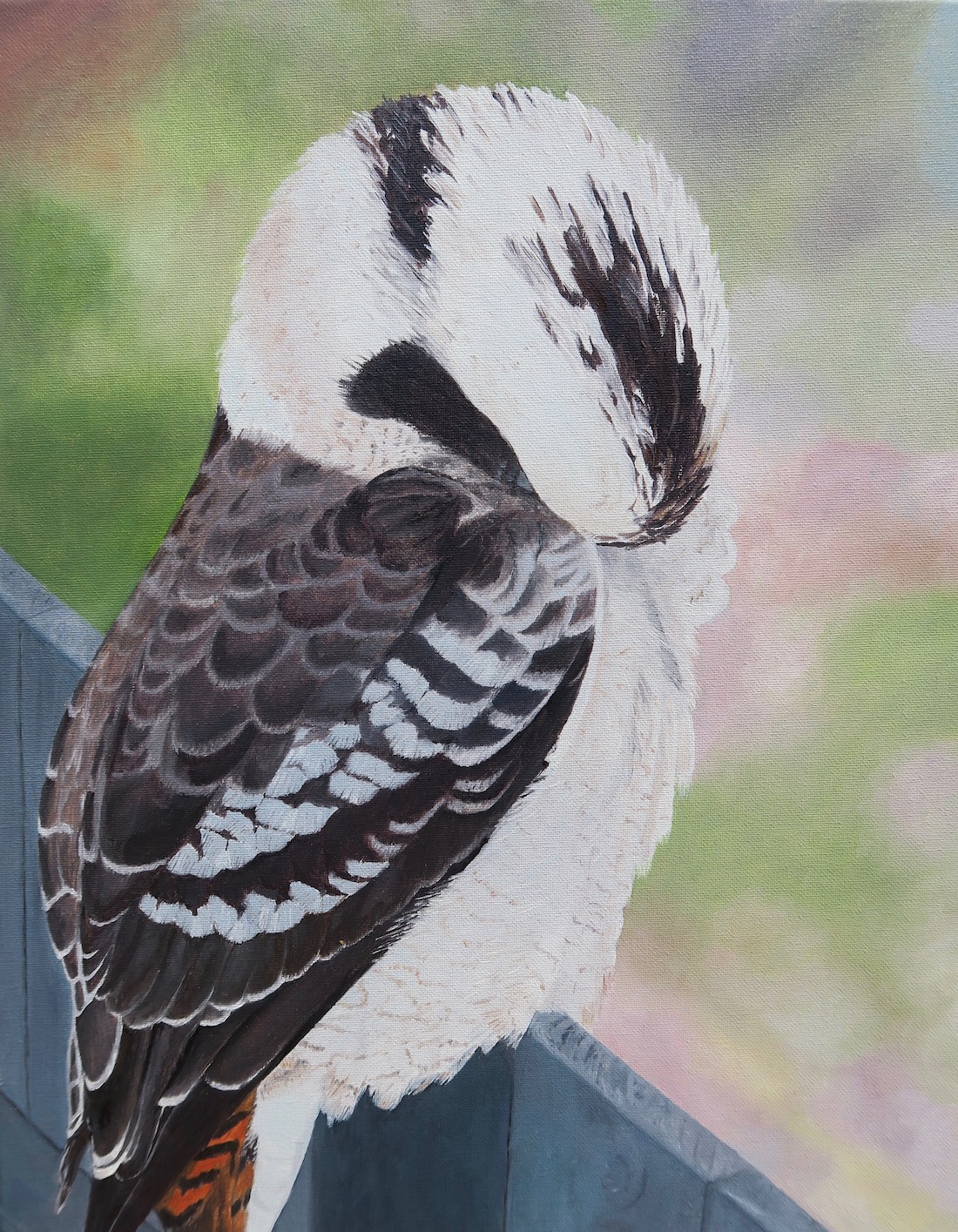 Painting of Shame Kookaburra by Niko Dujmovic